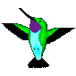 Colibri_05.gif