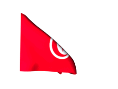 DrapeauTunisie_240gif.gif