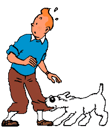 Tintin14.gif