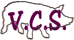 VCS2.gif