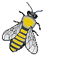 abeilles50.gif