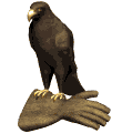 aigle_005.gif
