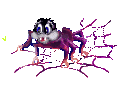 araigneegif024.gif