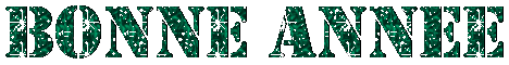 bonneanneevert.gif