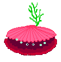 coquille8_2.gif