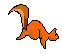 ecureuil_gif.gif