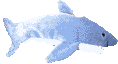 fishgraphicssharks405651.gif