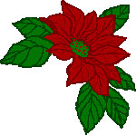 fleurs_noel005.gif