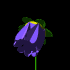 fleursfleurspetales00002.gif