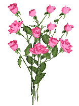 fleursfleursroses00074.gif