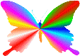 graphicsbutterflies502413.gif