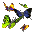 graphicsbutterflies669433.gif