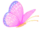 graphicsbutterflies994382.gif