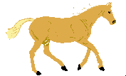 horse_10_animated.gif