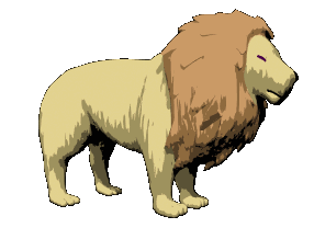 lion_look_hc.gif