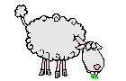 mouton011.gif
