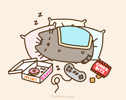 pusheen_the_cat_perfect_weekend.gif