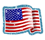 usa(1).gif