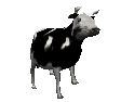 vache3.gif