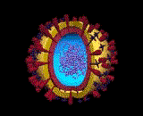 virus02.gif
