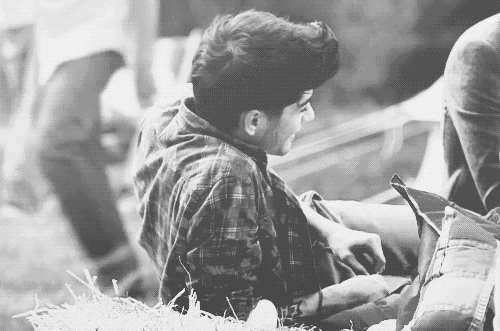 zayn.gif