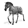 zebre009.gif